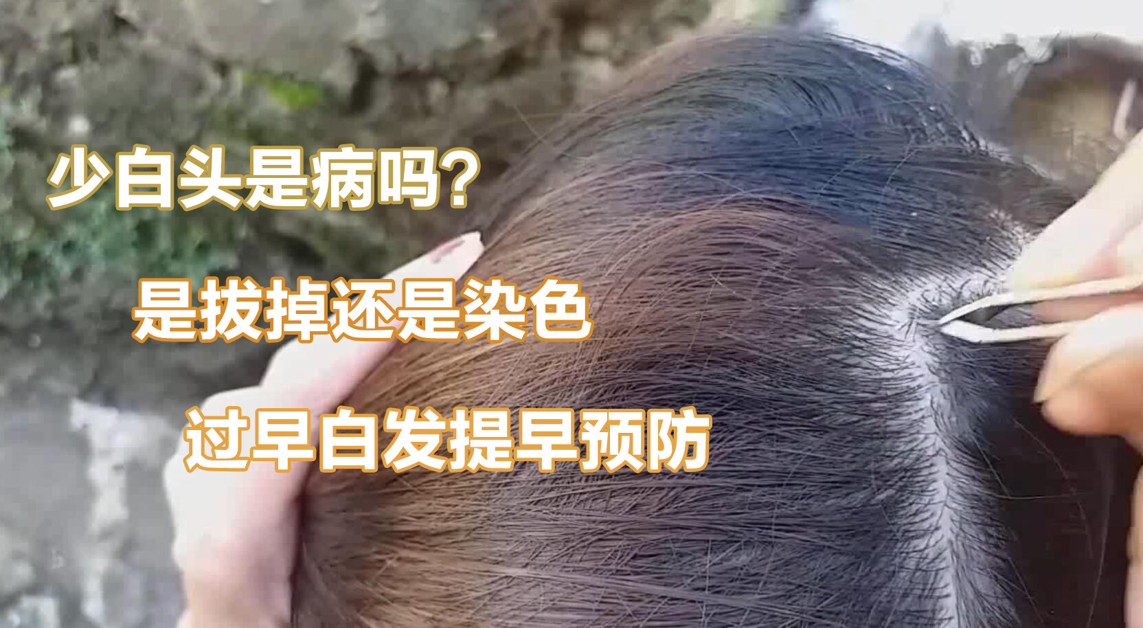 白发.jpg