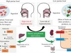 尿酸降不下来的日常饮食误解
