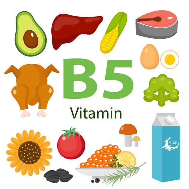 维生素B5（Pantothenic Acid）